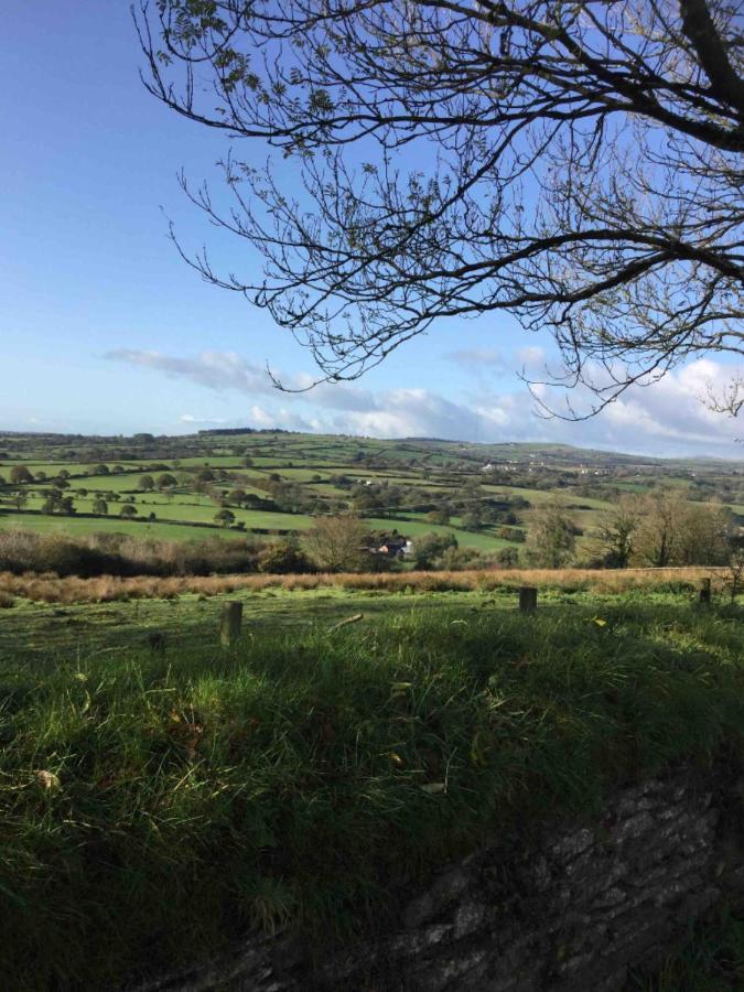 Beautiful Self Catering In Rural Pembrokeshire Apartment Llanfyrnach Ngoại thất bức ảnh